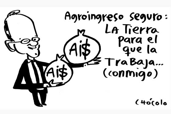 Ingresos Seguros