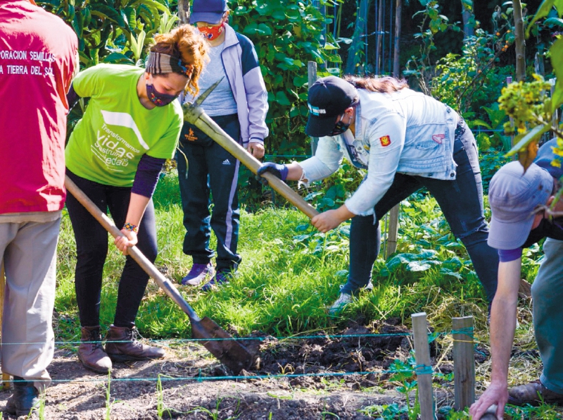 Setis realiza mingas y cursos de agricultura orgánica. / Cortesía