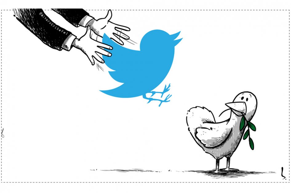 Gallo de pelea