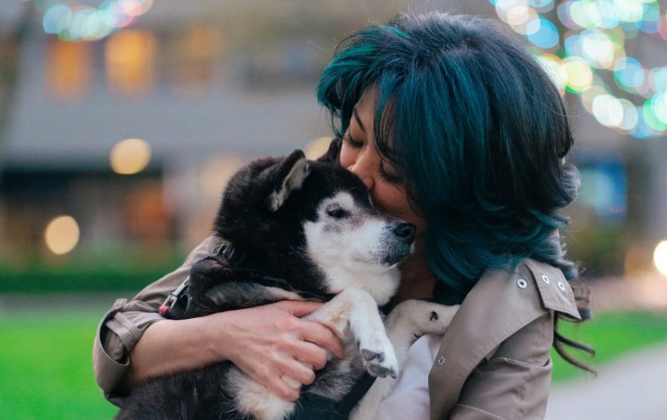 Así fue el último día de Kuma, perro de 16 años: le dieron emotiva despedida