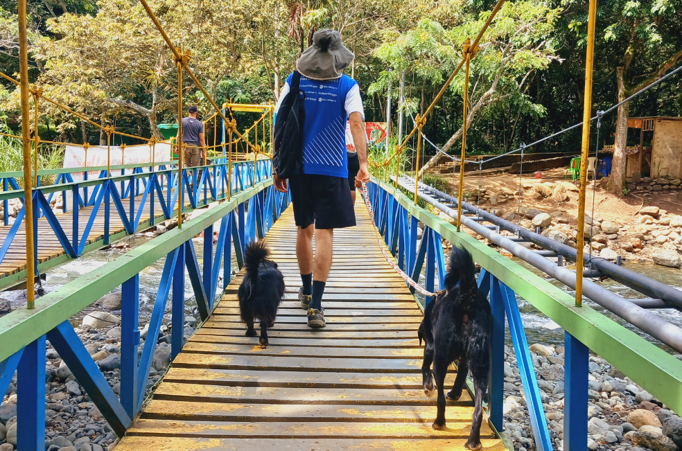 Si lleva a su mascota a un ecoparque, debe tener en cuenta esto