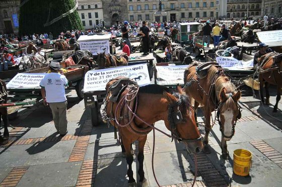 En octubre ya no habría más ‘zorras’ en Bogotá