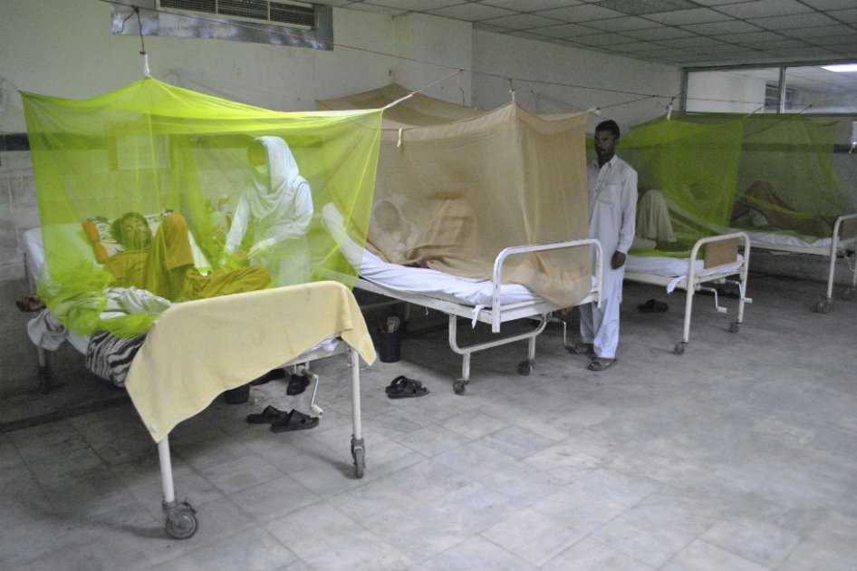 Minsalud dispone $6.400 millones para atender inminente epidemia de Chikungunya