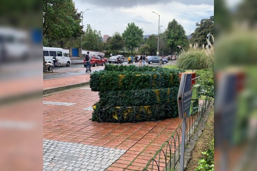 Estructura navideña del C.C. San Rafael cayó sobre mujer de 85 años: su estado es crítico