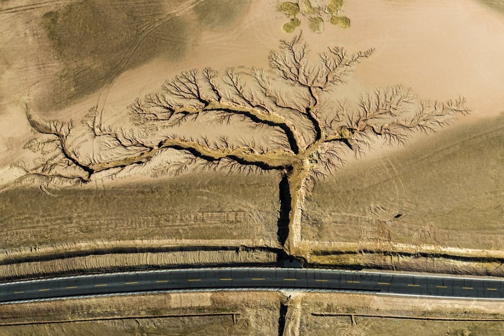 La fotografía del año fue tomada por Li Ping, de China. Para conseguir esta fotografía, Ping durmió en un estacionamiento al borde de la carretera durante la noche. Poco después del amanecer, envió un dron para inmortalizar el camino vacío y los barrancos ramificados, que fueron creados por la erosión del agua de lluvia.
