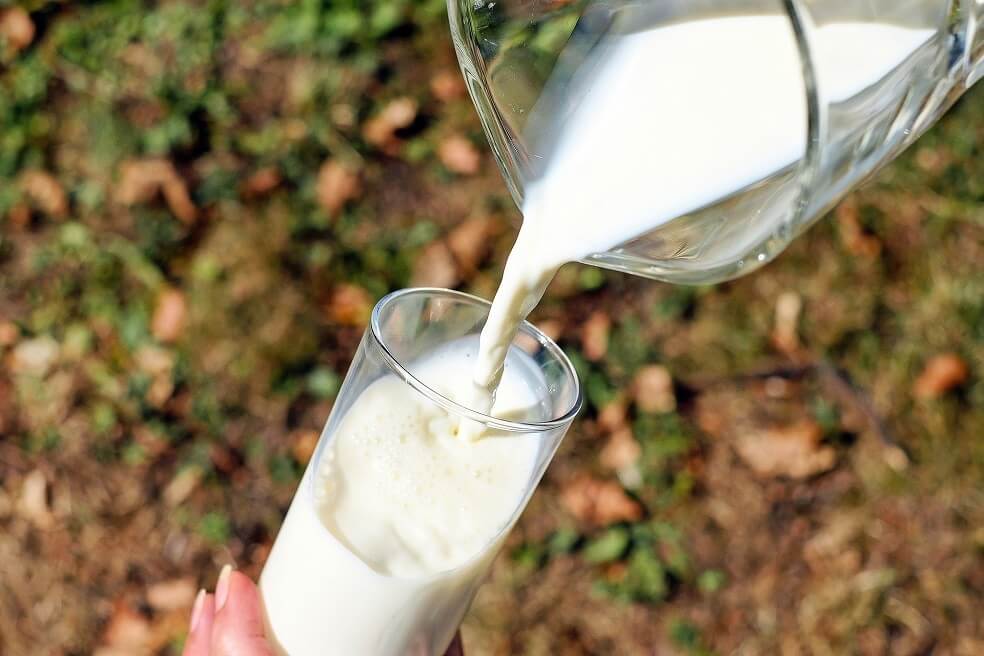 ¿La leche es buena para los huesos? un estudio de Harvard refuta esta creencia