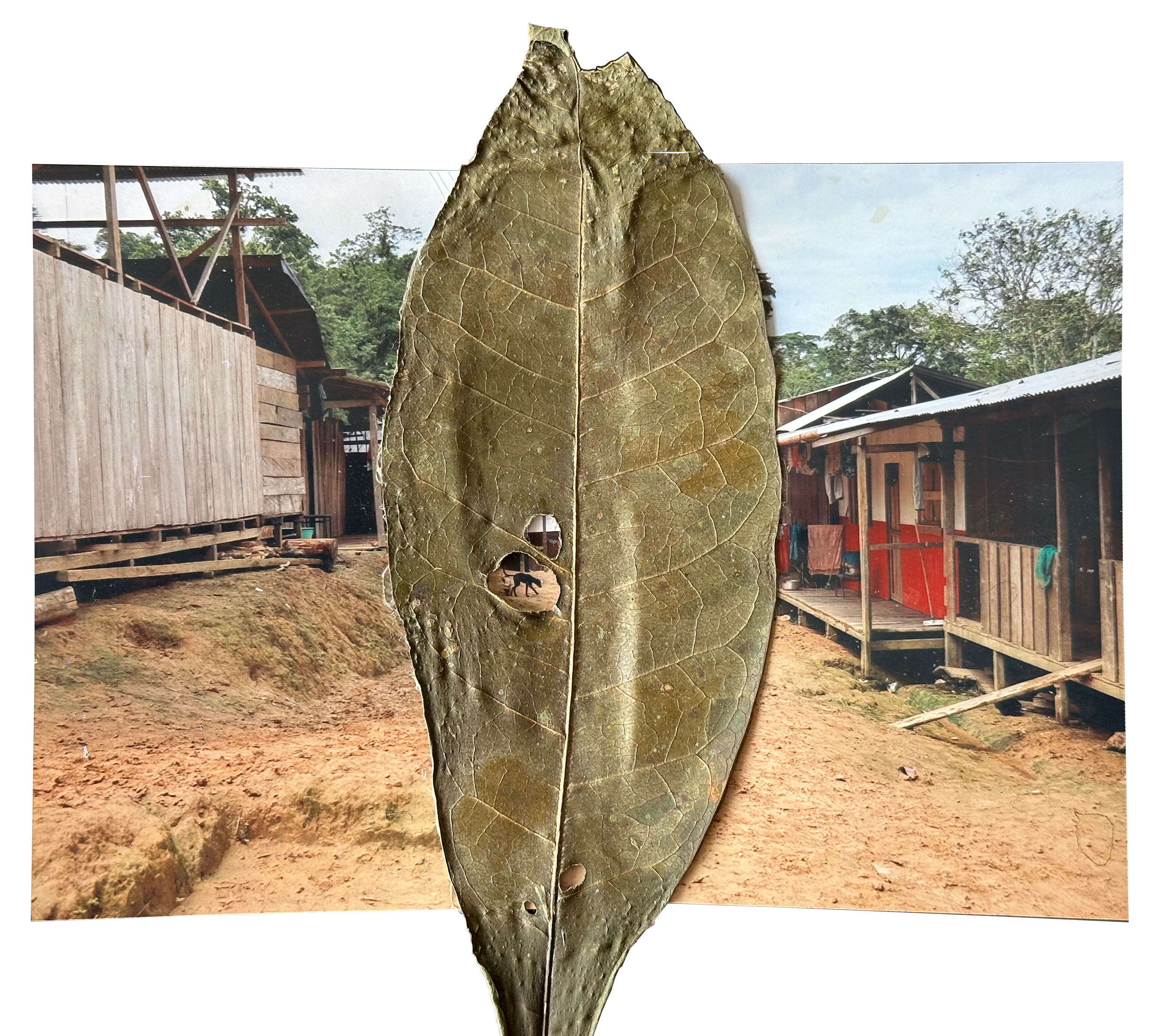 Embera Chocó