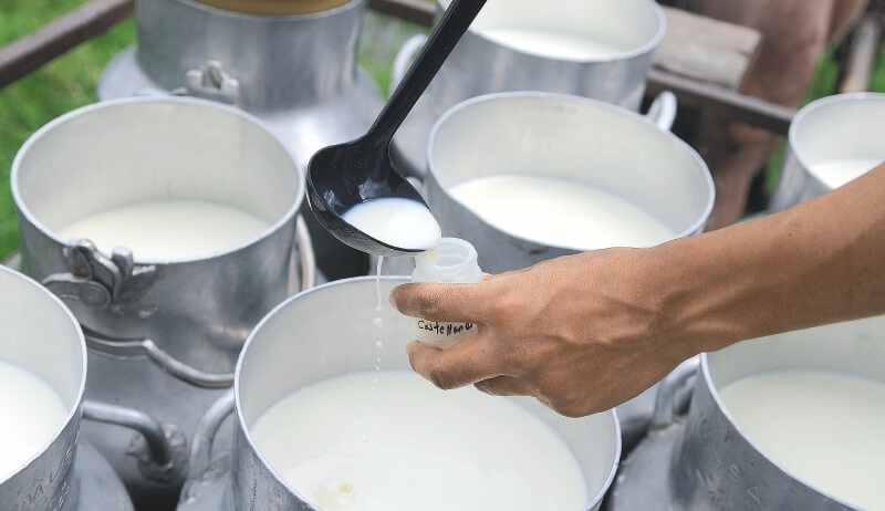 El TLC que unió a productores y procesadores de leche