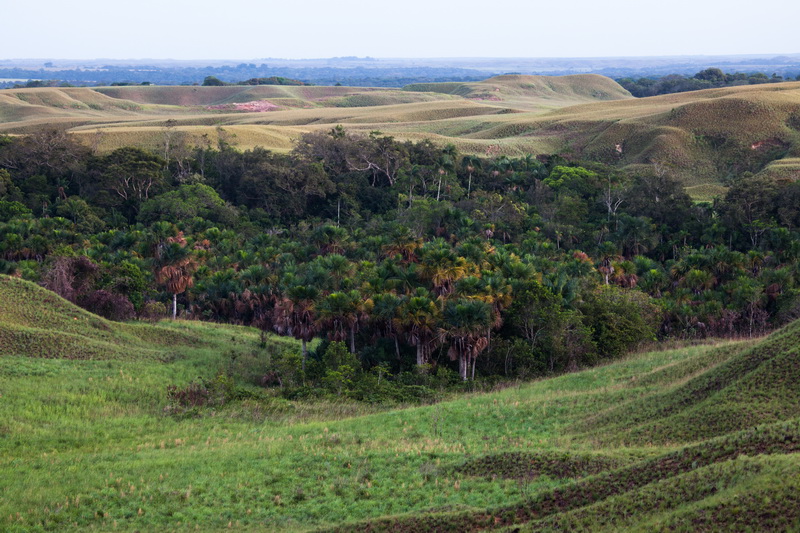 ¿Qué es la restitución de tierras y cómo se puede acceder a esta?