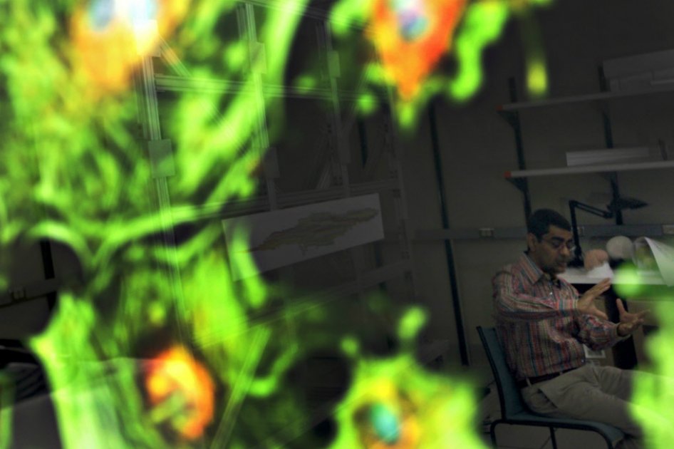 La demencia frontotemporal es el nombre de un grupo de demencias progresivas que afectan principalmente a la personalidad.