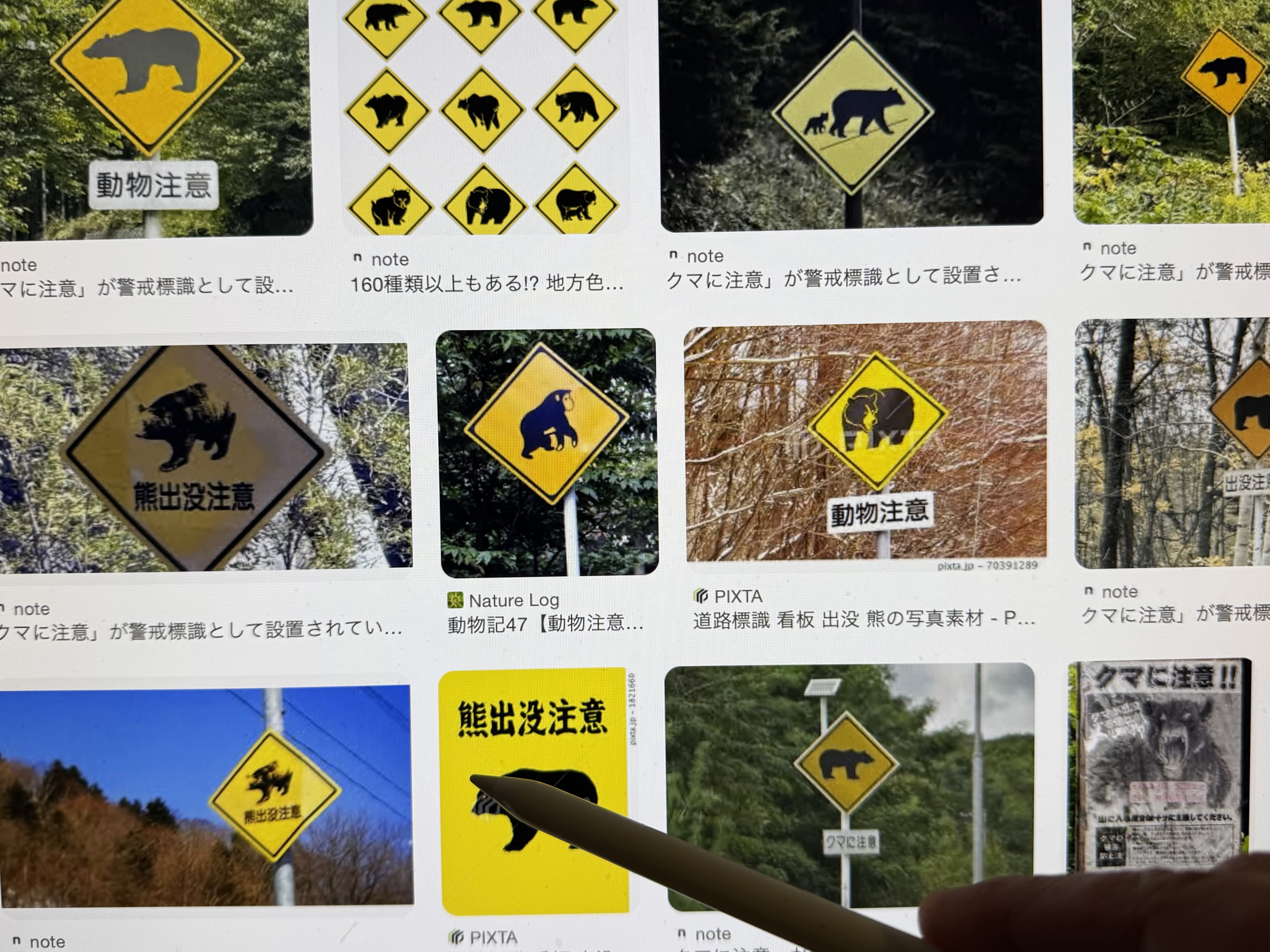 Torre de Tokio: osos empoderados