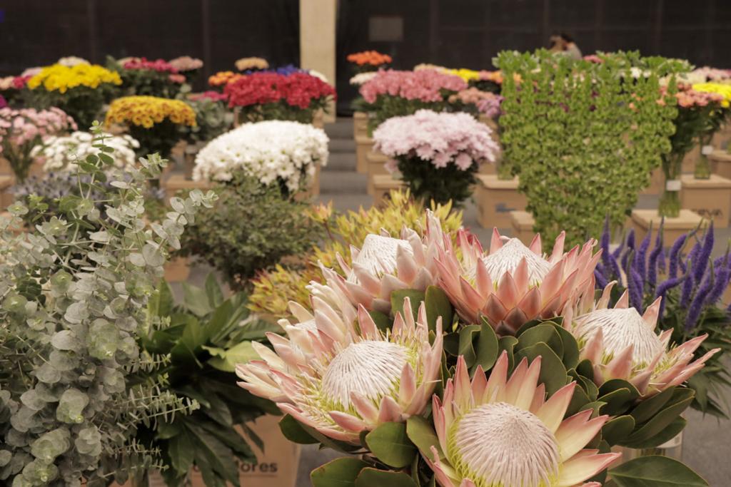 Proflora reúne a más de 1.600 visitantes internacionales y 300 expositores de diferentes países.