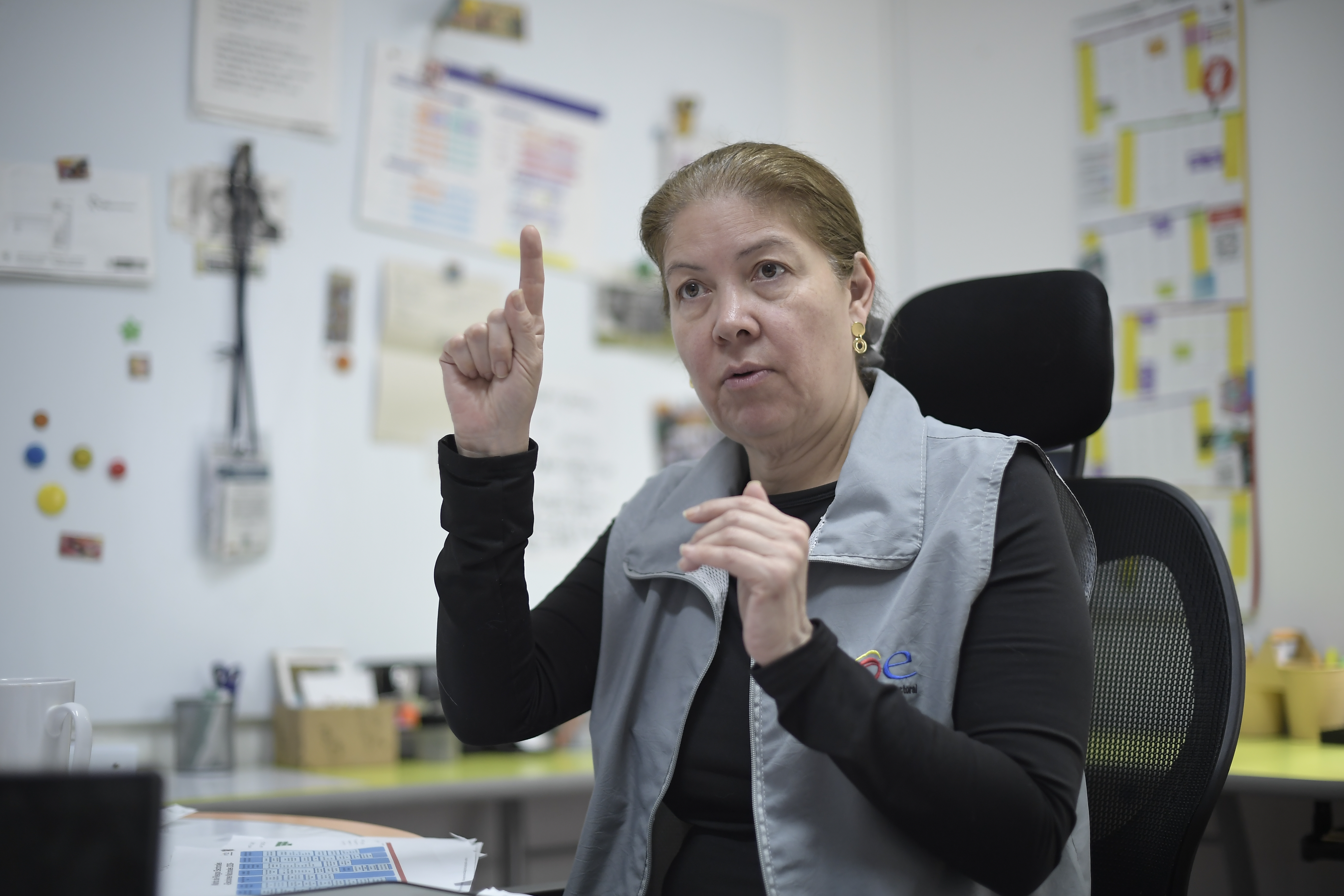 “La justicia electoral debe ser independiente”: alerta de la directora de la MOE