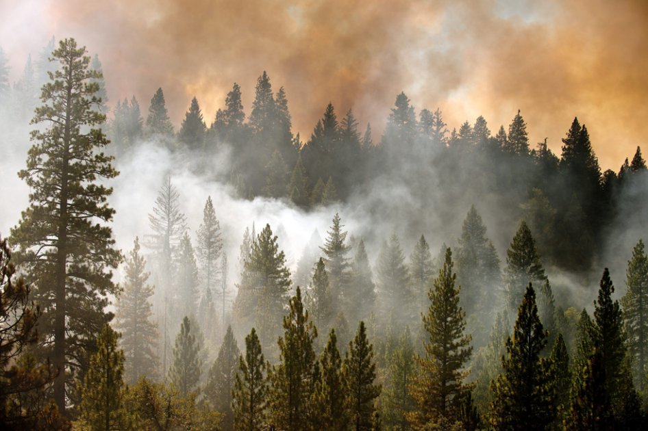 El incendio forestal del norte de California, uno de los más extensos en la historia del Estado, ha devastado más de 60.000 hectáreas y amenaza la integridad del Parque Nacional Yosemite./ EFE