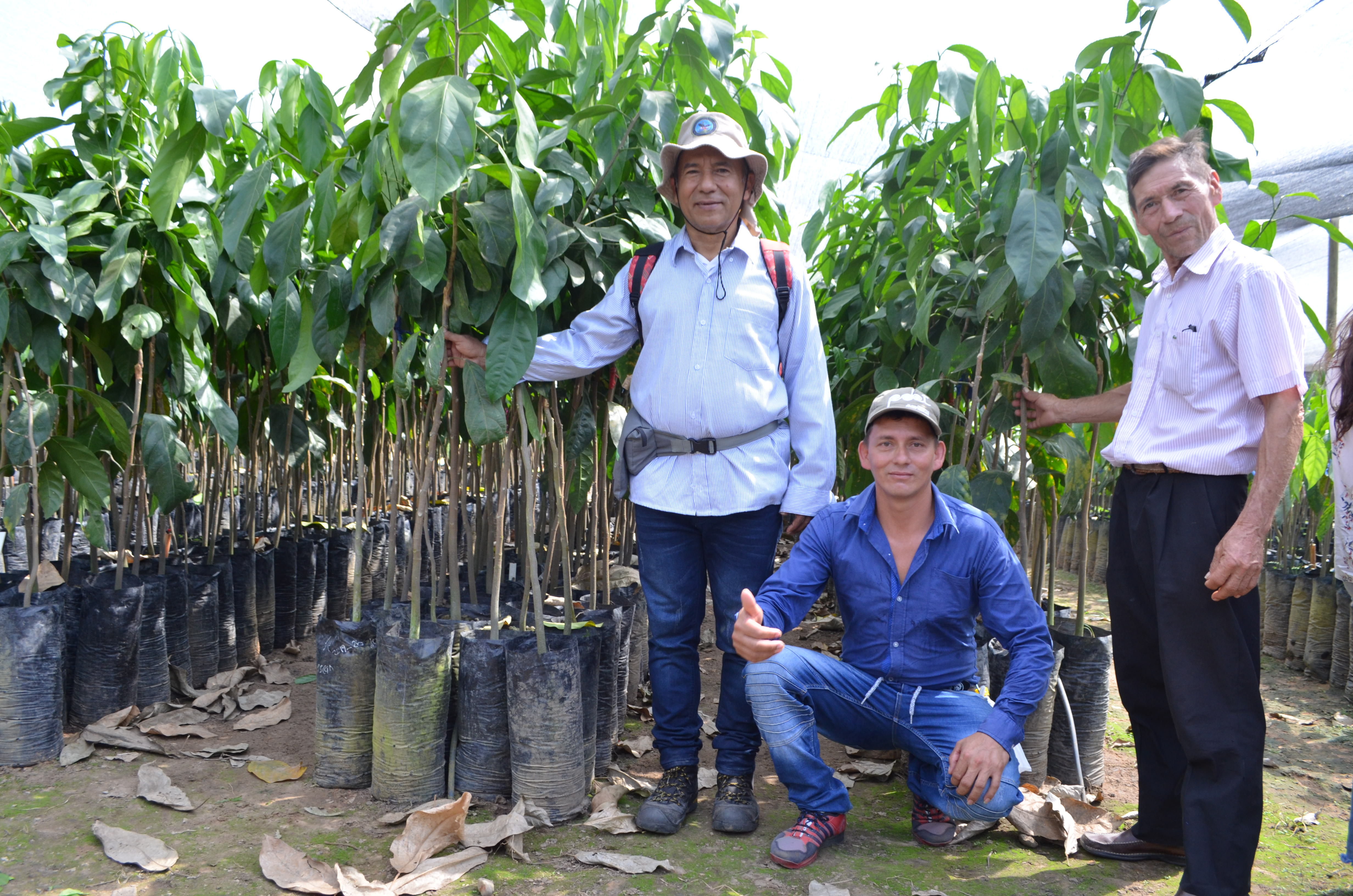 El Fondo Colombia Sostenible y su apuesta por la restauración ecológica participativa