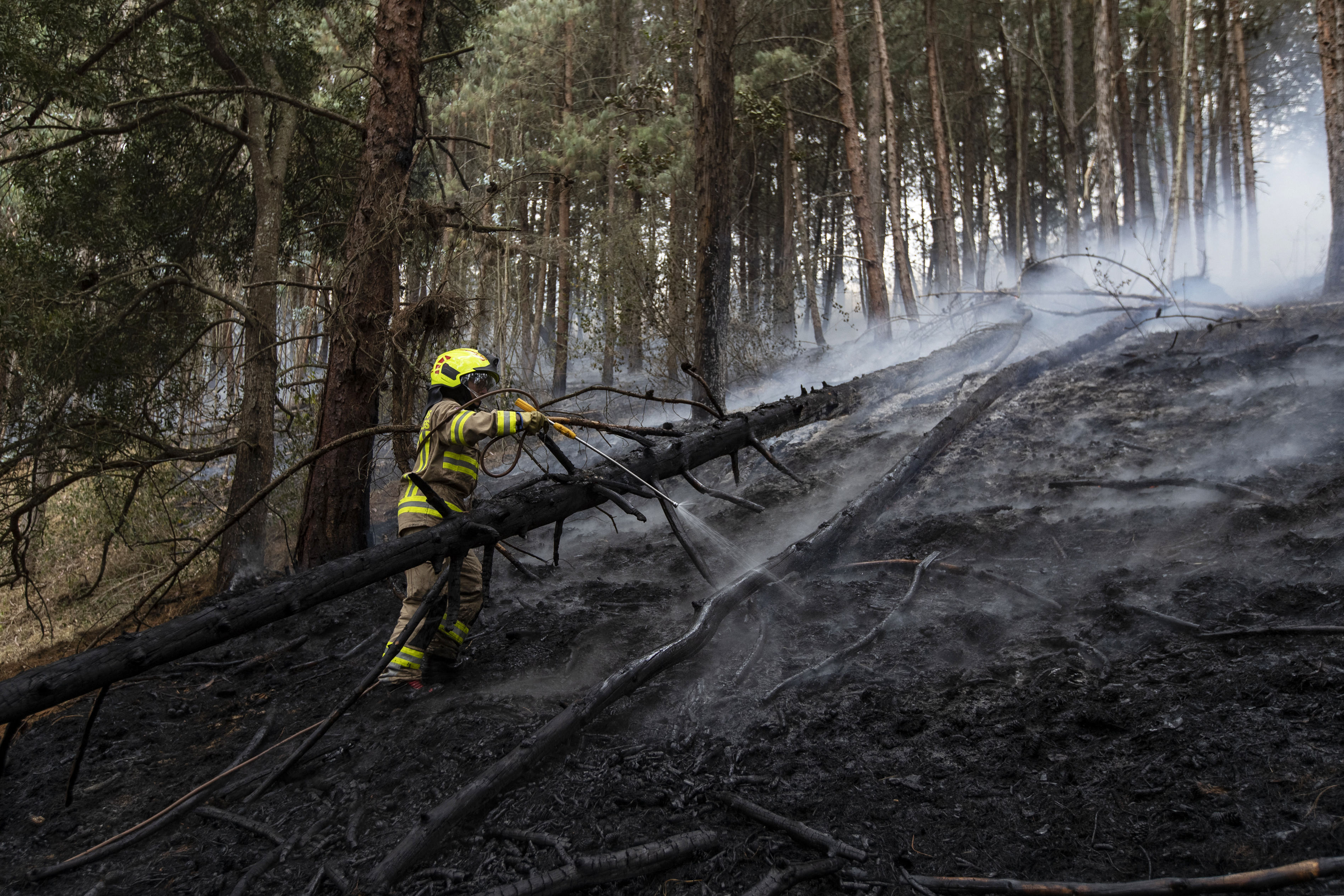 Incendios forestales en Colombia: hay 12 activos y 3 que ya se controlaron
