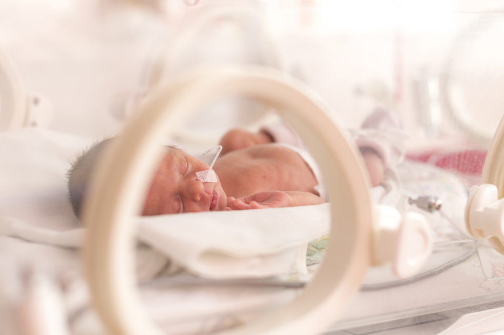 ‘Abraza tu pulpo’ la estrategia para reducir el estrés en bebés prematuros
