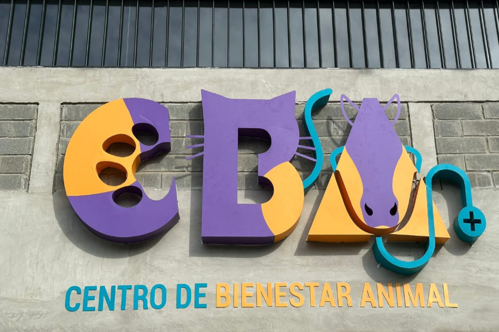 Exdirectora del Centro de Bienestar Animal de Cali se pronunció por polémica en la entidad