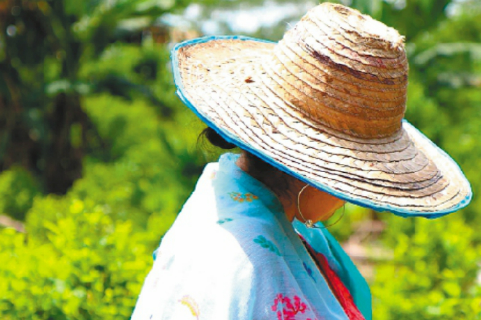 Mujeres cocaleras: la historia no contada de este cultivo en Colombia