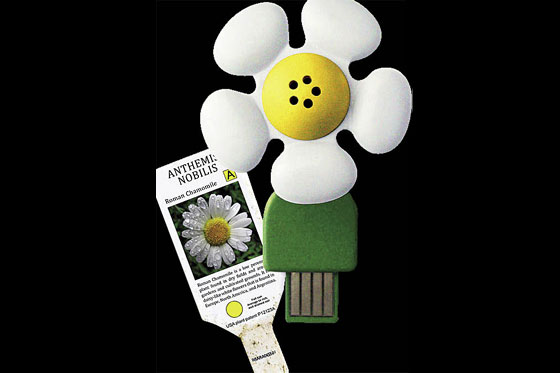 Fragancias florales en USB