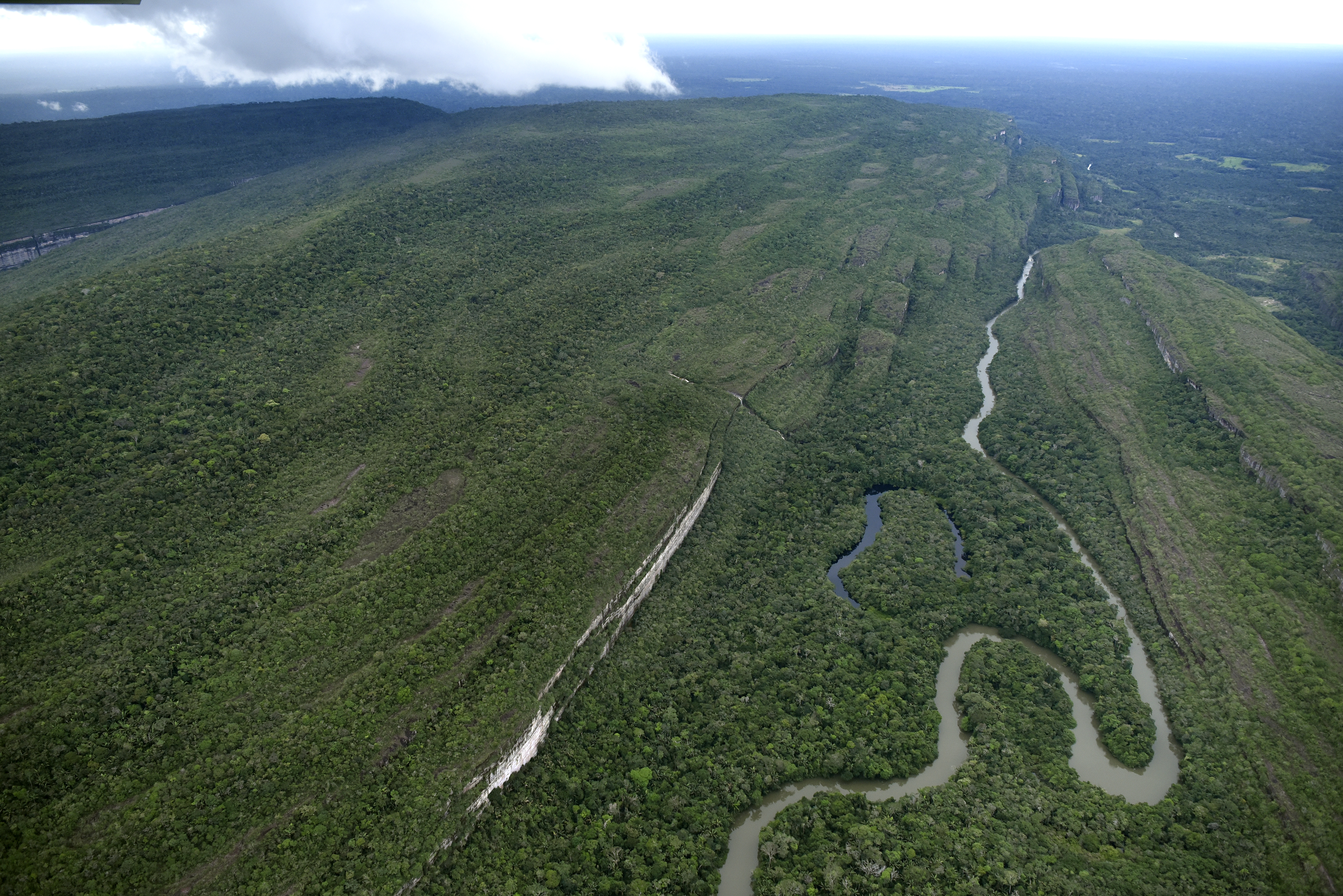 Deforestación en 2020 creció en Colombia: se talaron 171.685 hectáreas