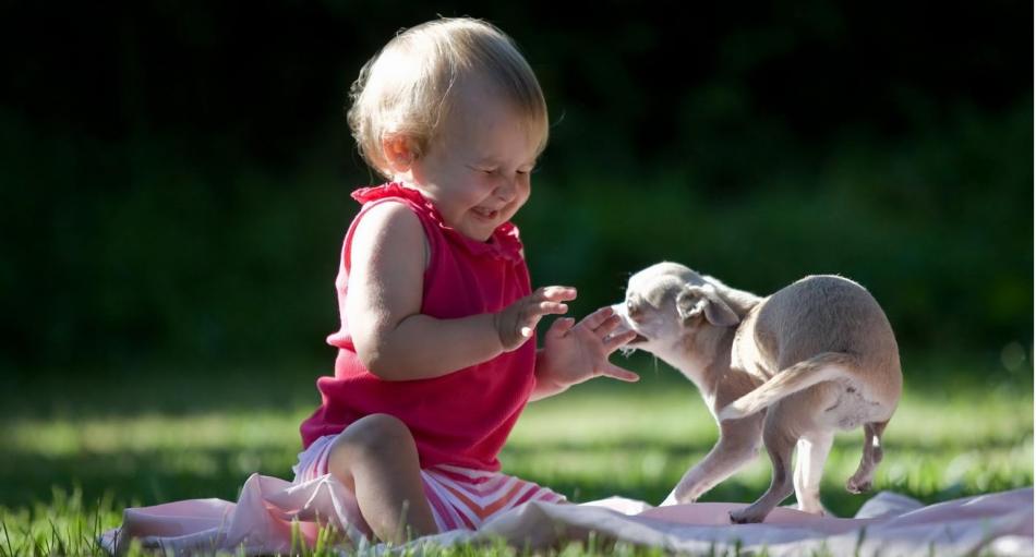 ¡Mamá quiero una mascota!