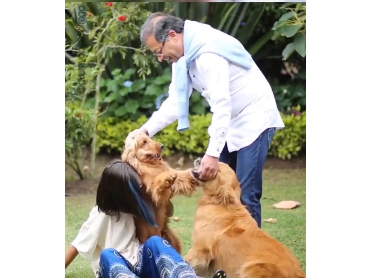 Hospitalizan a Phillipe Petro, el primer perro de la Nación