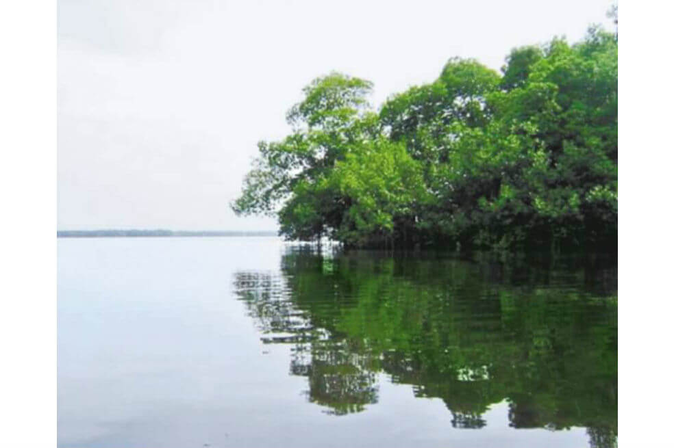 Bahía de Cispatá /  Archivo