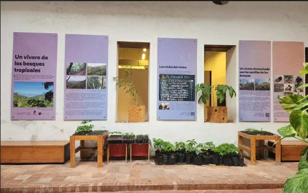 Museo en Santa Marta esconde un gran vivero en su interior: así lo puede conocer