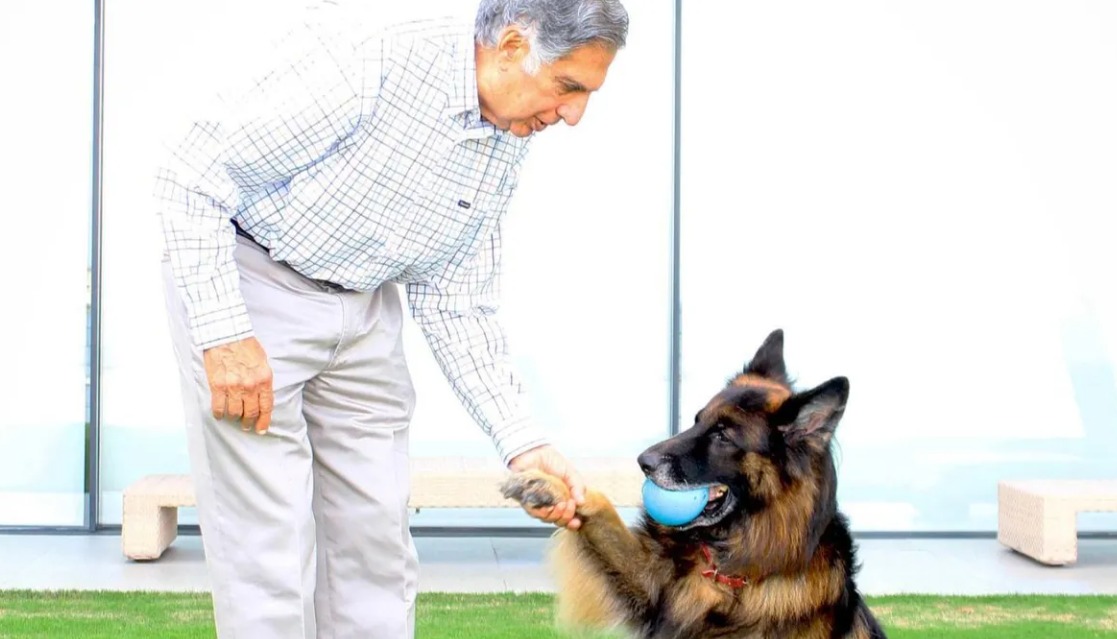 Magnate y multimillonario indio murió y dejó fortuna a su perro Tito