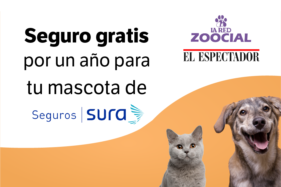 Protege a tu mascota: participa por un seguro integral con Suramericana