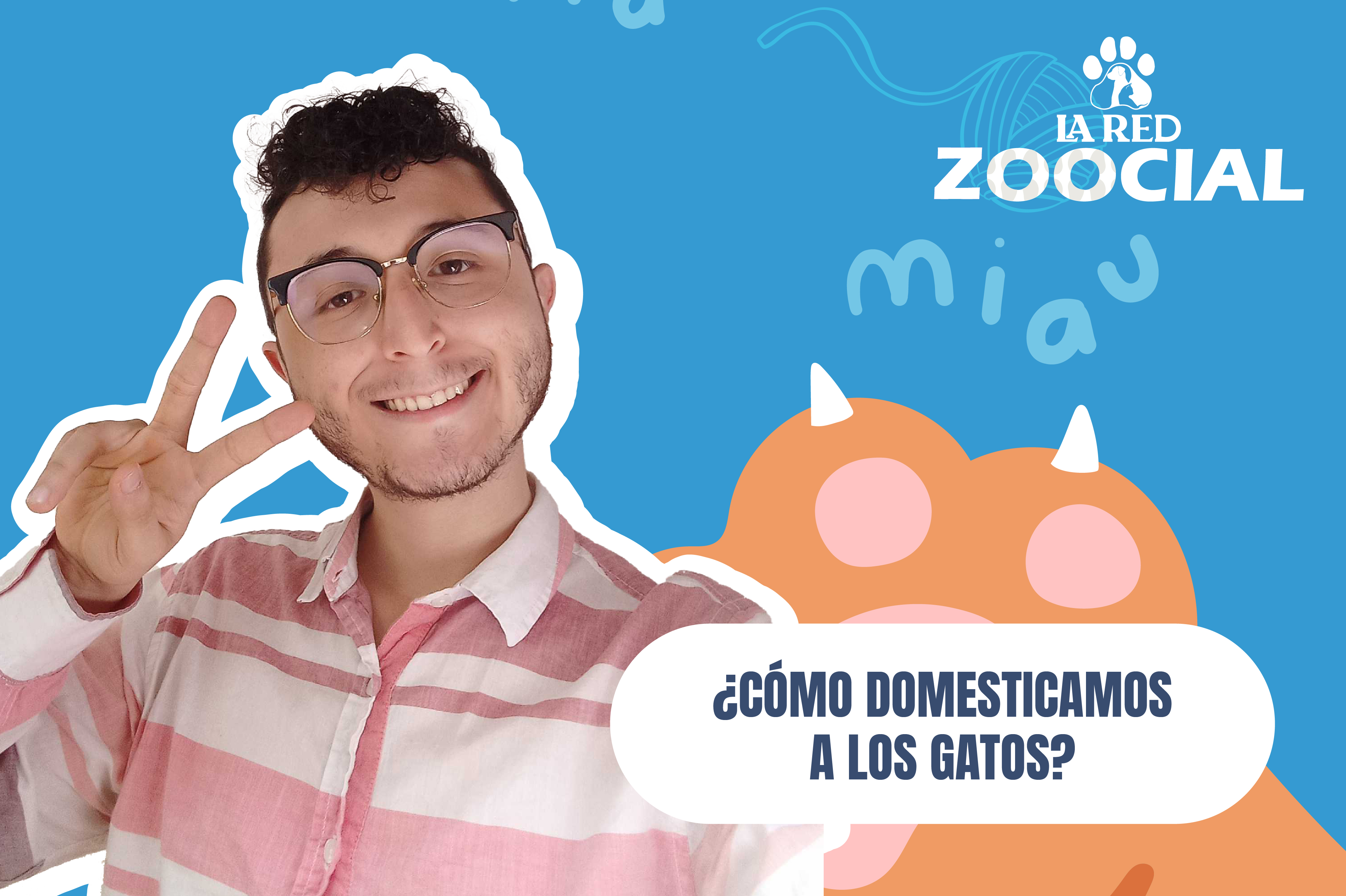 (VIDEO) ¿Cómo domesticamos a los gatos?