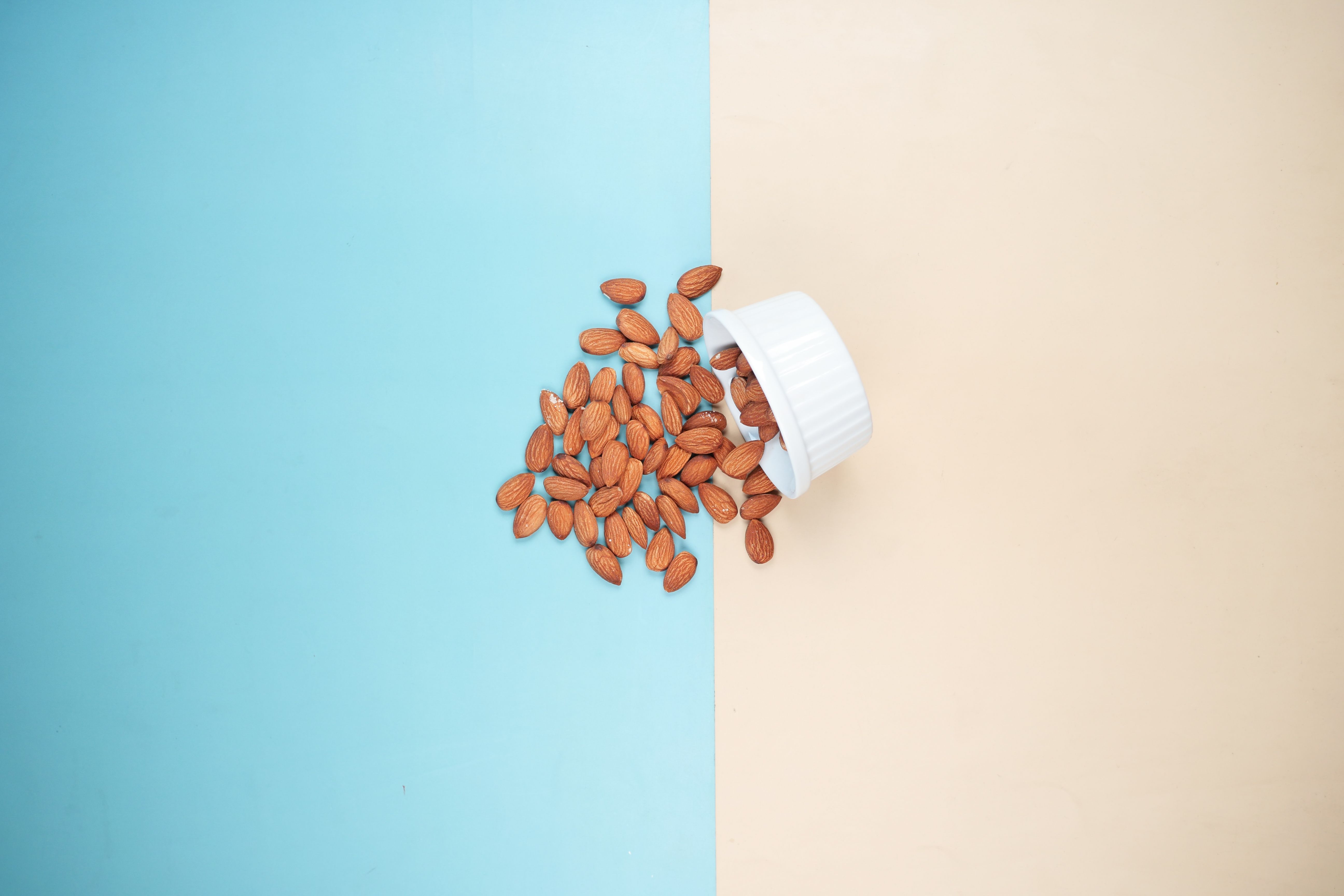 Diferencias entre almendras, nueces, avellanas y maní: ¿Qué fruto seco escoger?