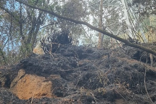 Cerro de la quebrada La Vieja después del incendio.