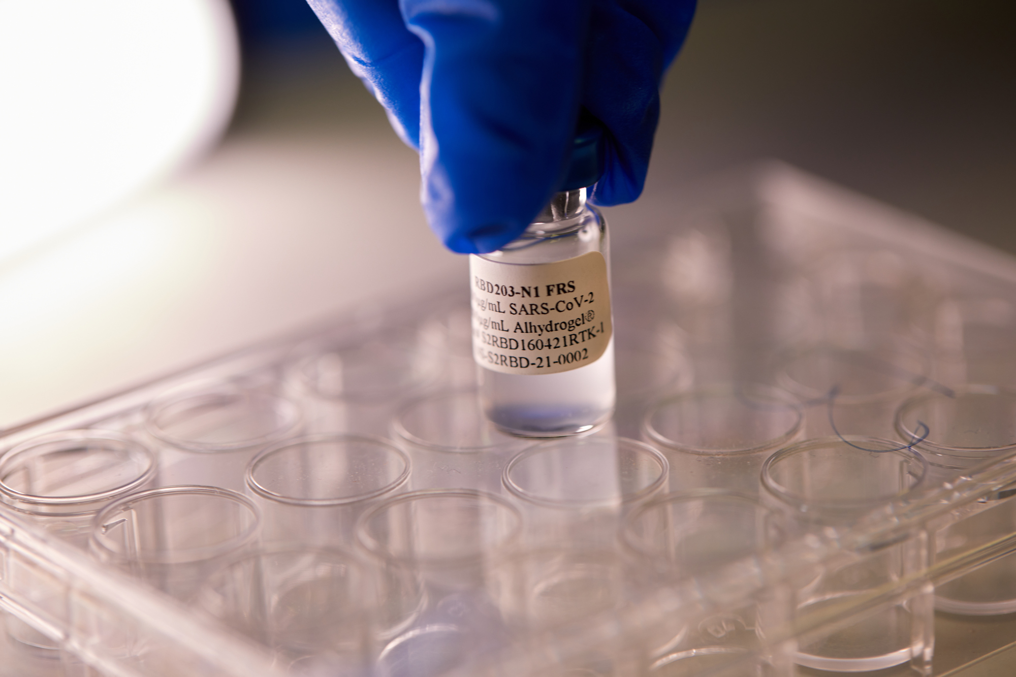 Corbevax