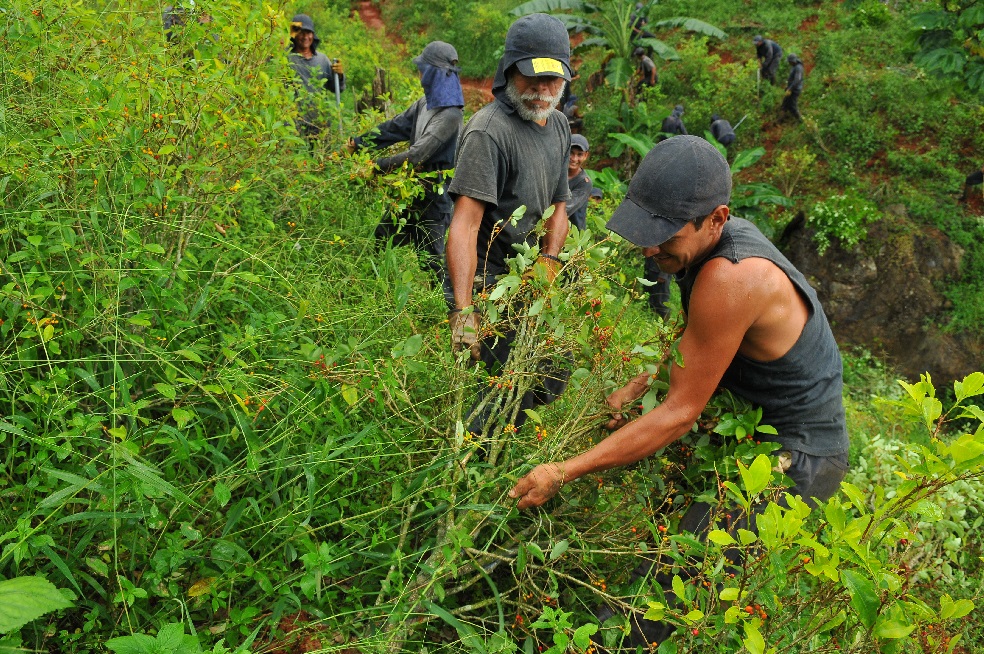 A los campesinos de Tumaco les habrían disparado por la espalda