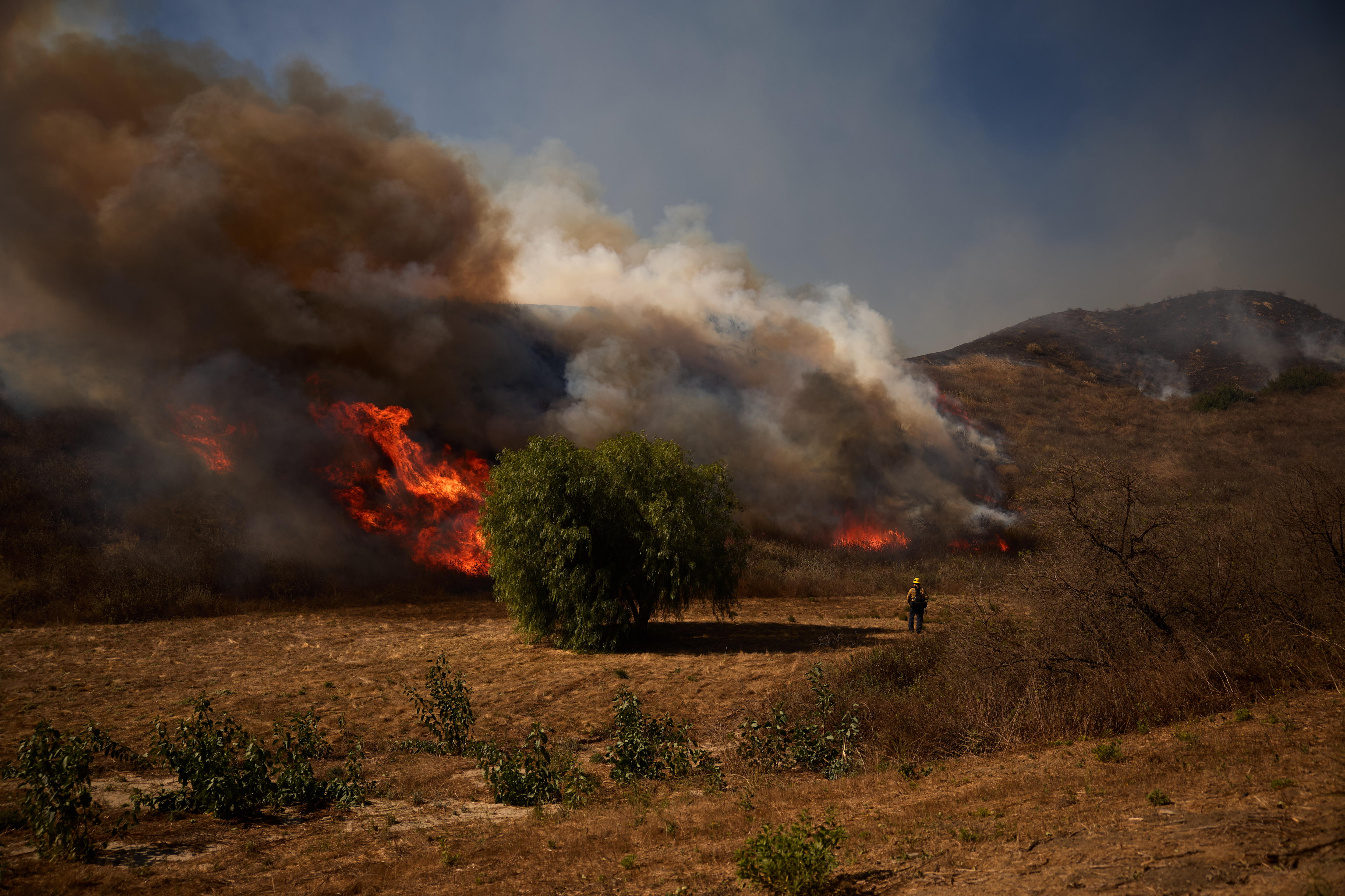 Incendio forestal en California arrasó con 8.000 hectáreas
