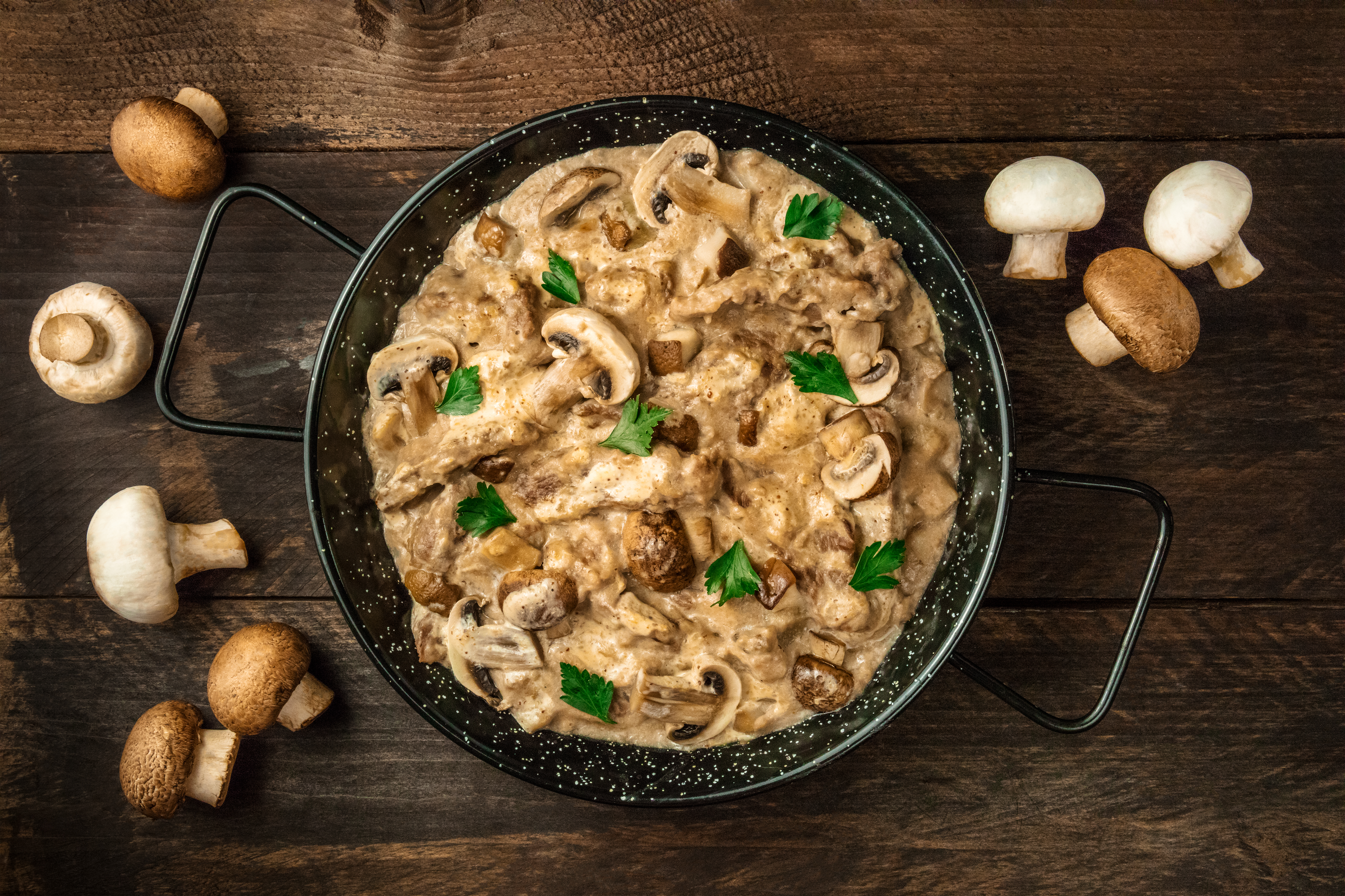 Pescado stroganoff