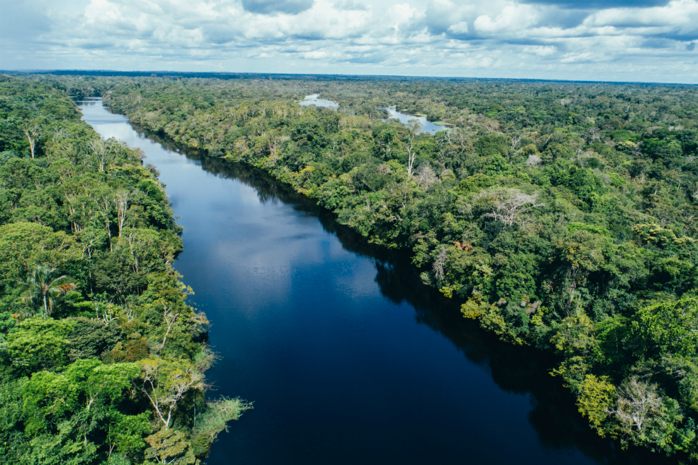 Paneles solares para iluminar la Amazonia, en Brasil