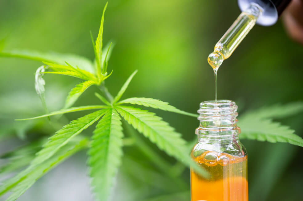 Aceites esenciales para recibir el nuevo año