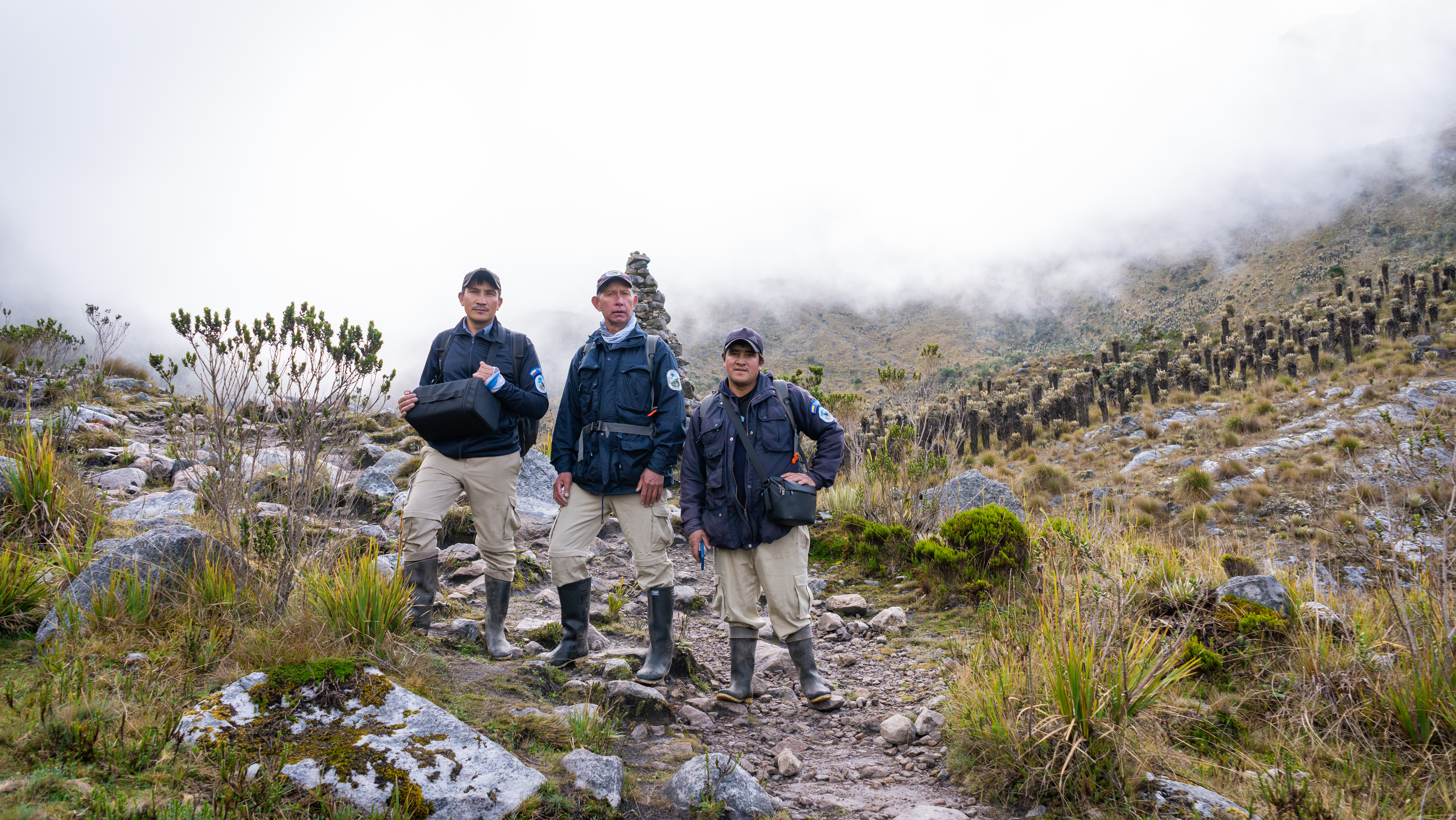 65 años de Parques Nacionales: esta es la historia de la entidad que protege el patrimonio natural de Colombia