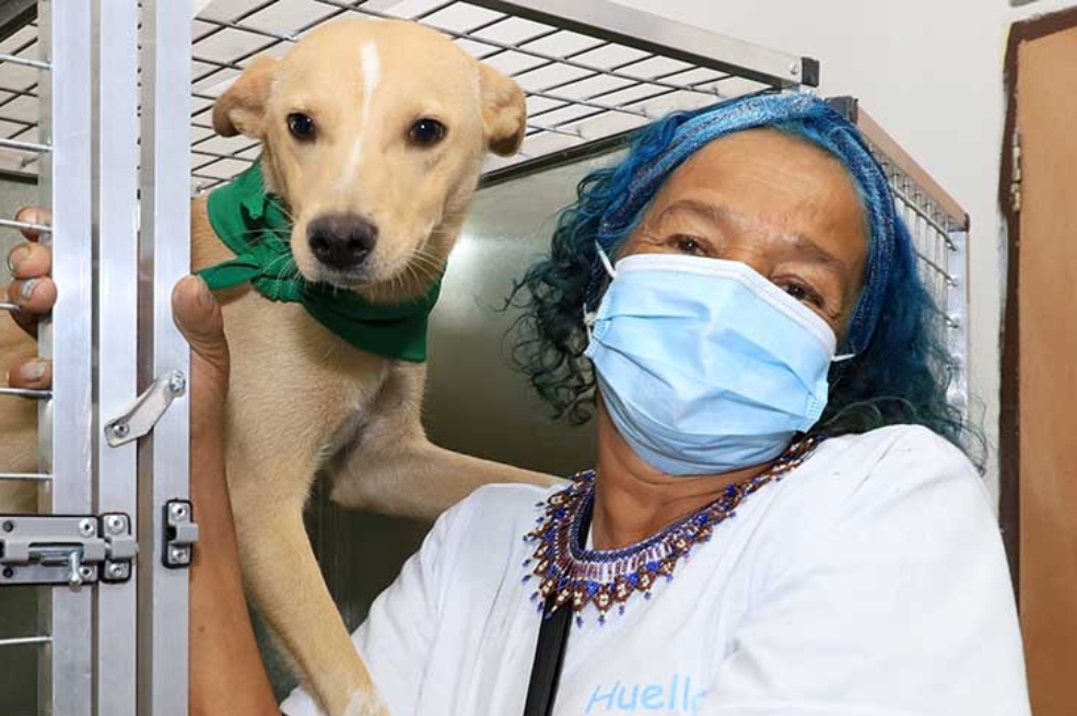 Alcaldía de Cali inaugura guardería para mascotas de habitantes de calle