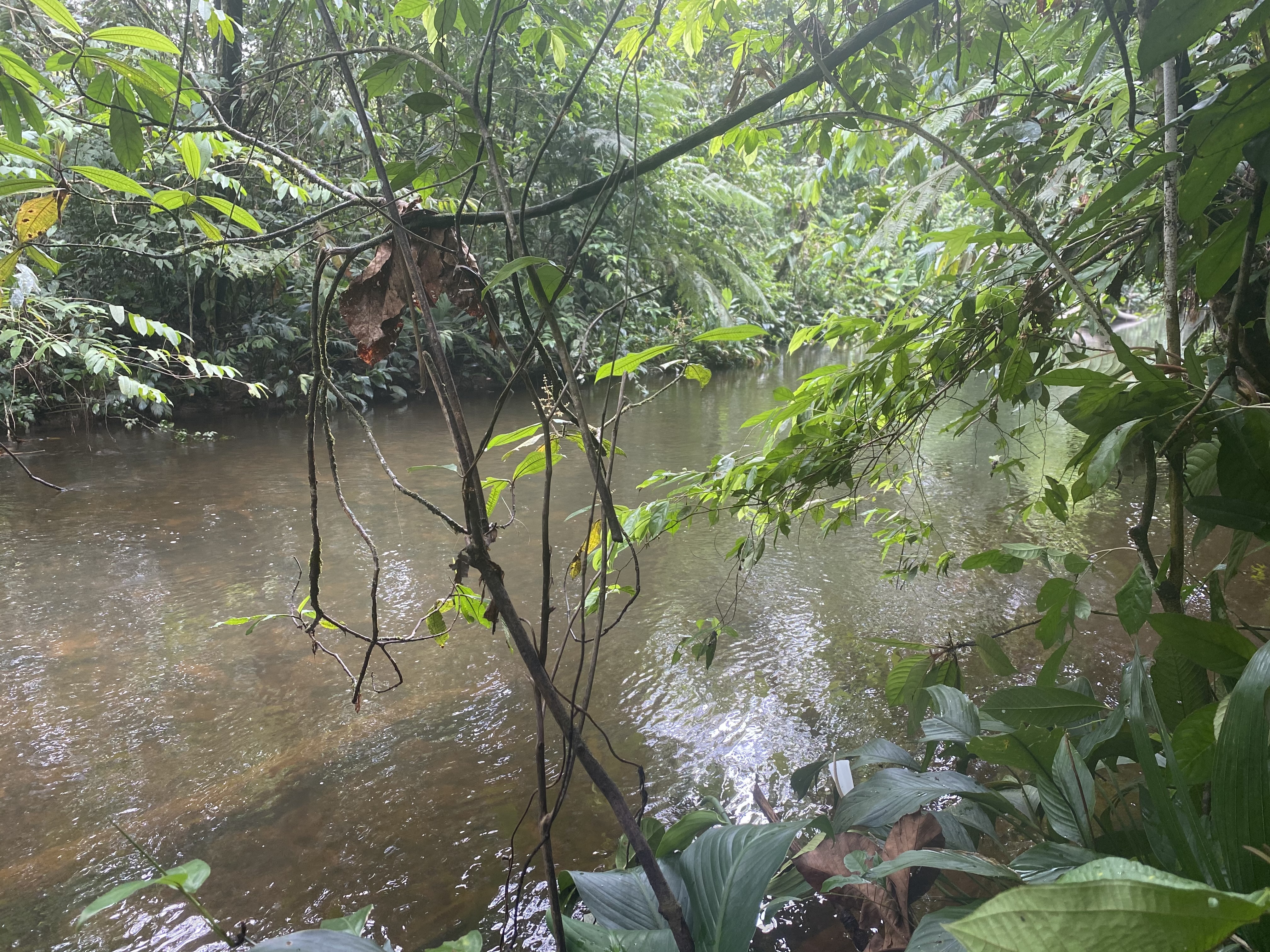 El pueblo inga y la defensa de los ríos de proyectos extractivos