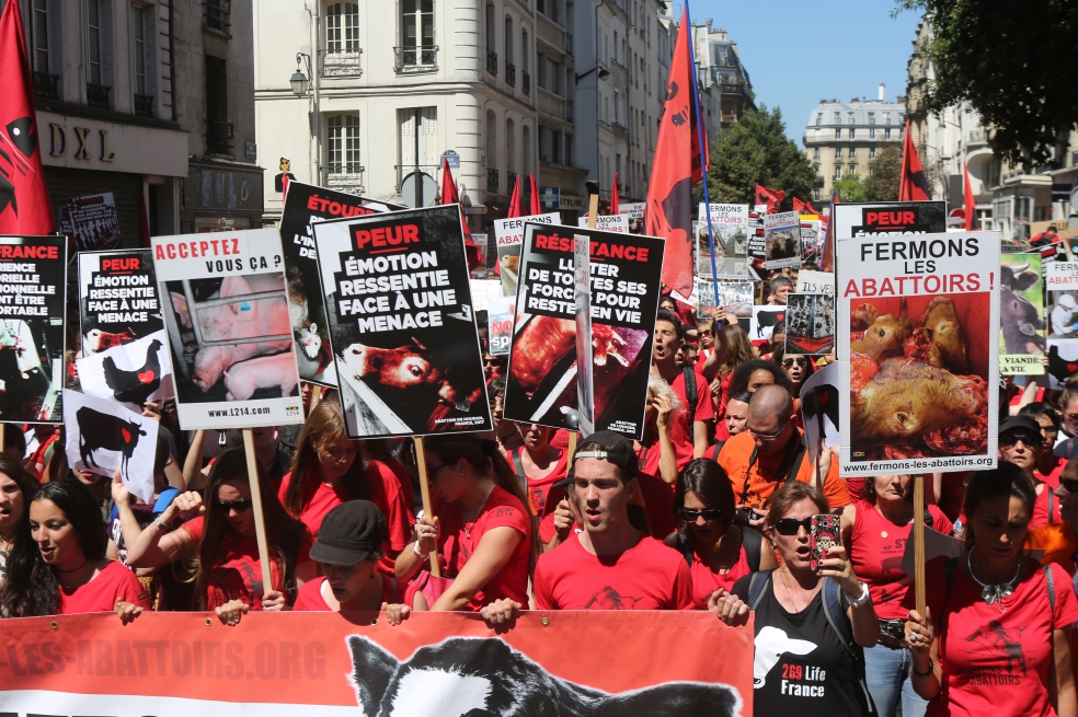 Así han sido los ataques de veganos contra carnicerías francesas