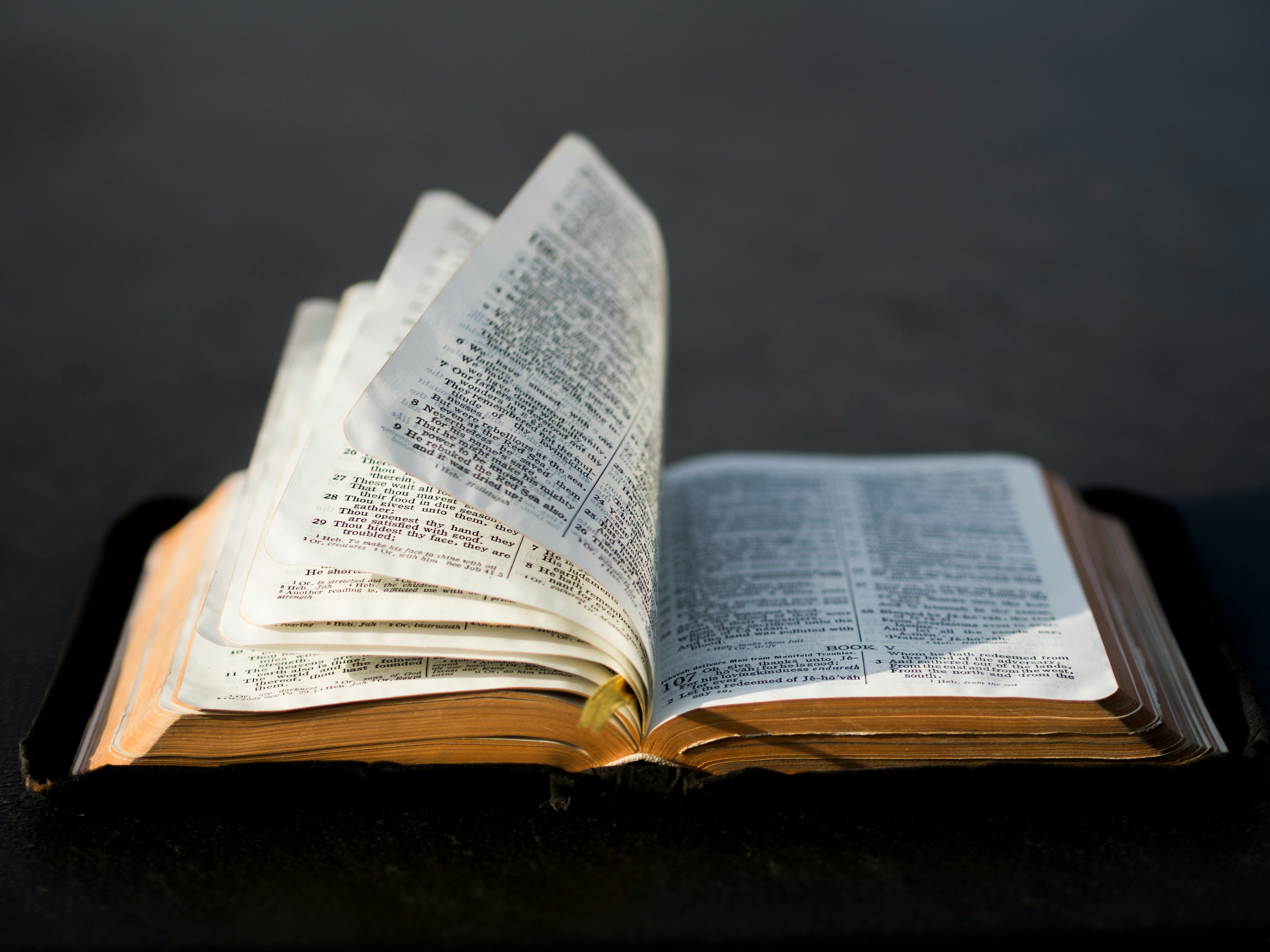 Los orígenes de la Biblia