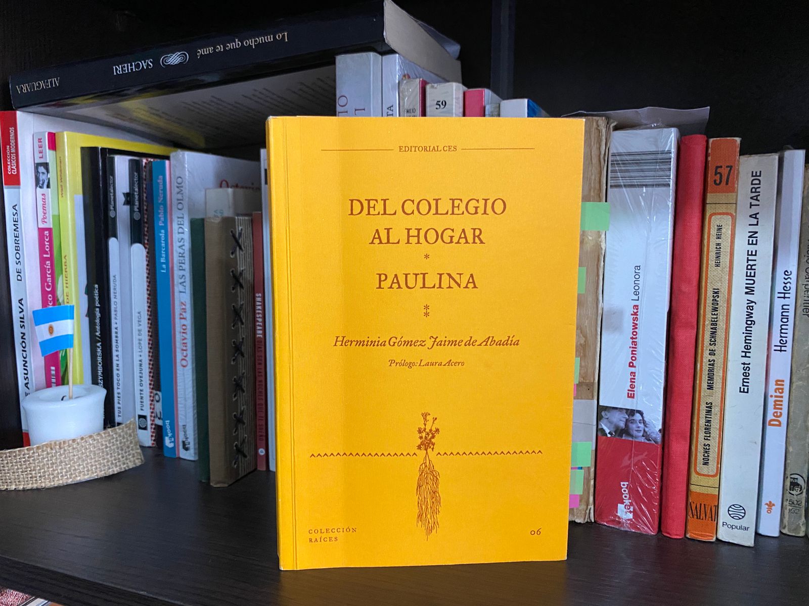 Una escritora del siglo pasado: entre el poder y el recato