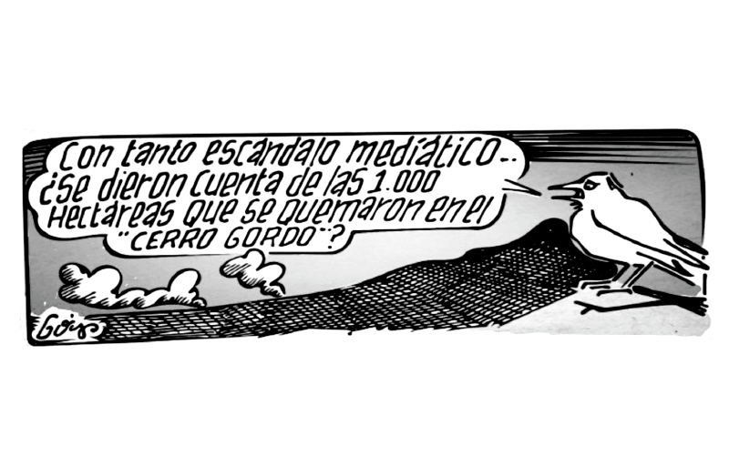 Desastre ambiental