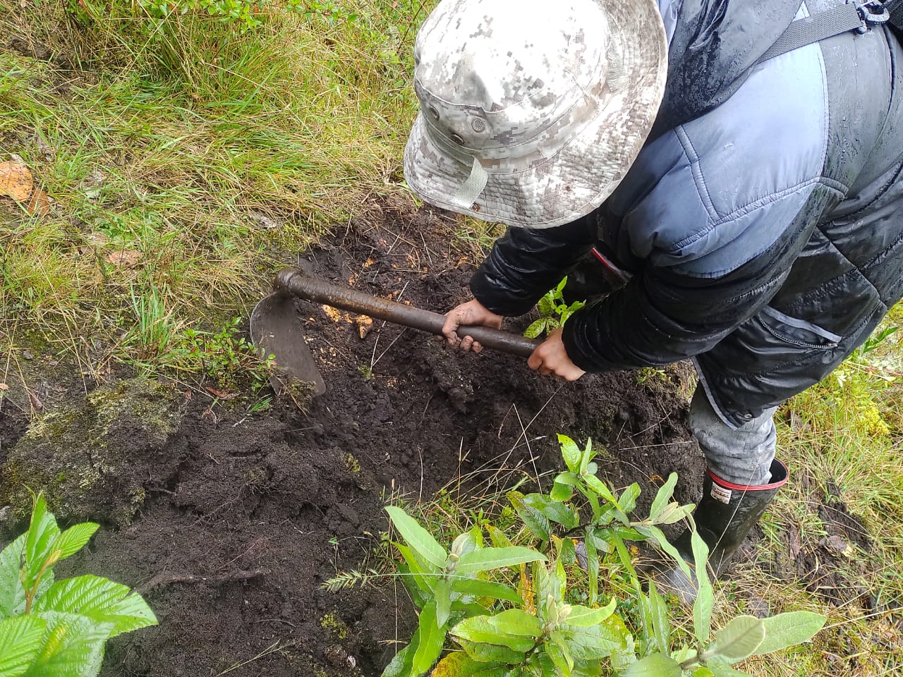 Con este proyecto buscan proteger el complejo de páramos Cruz Verde-Sumapaz
