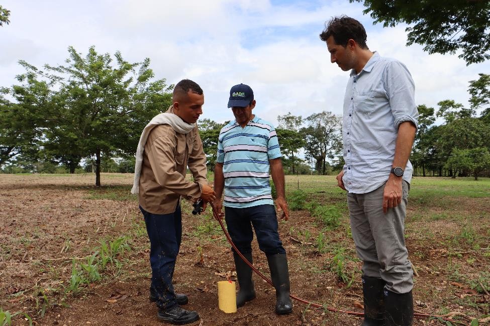 Con Rutas PDET, la leche en Caquetá es producto de la ganadería sostenible