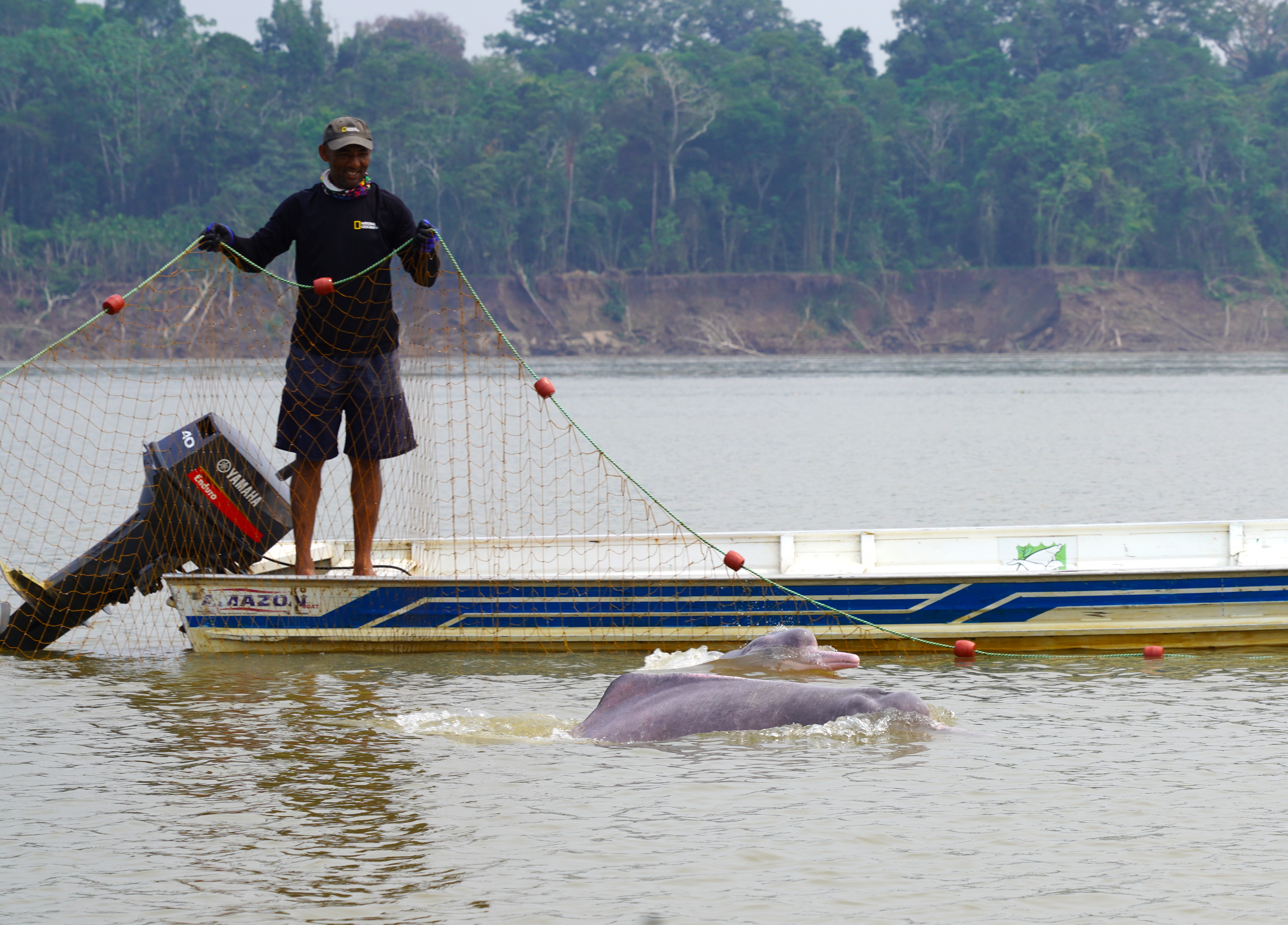 Uno de los pescadores de la Amazonia que trabaja con la Fundación Omacha, mientras extiende la red con la que capturan a los delfines, para después liberarlos.
